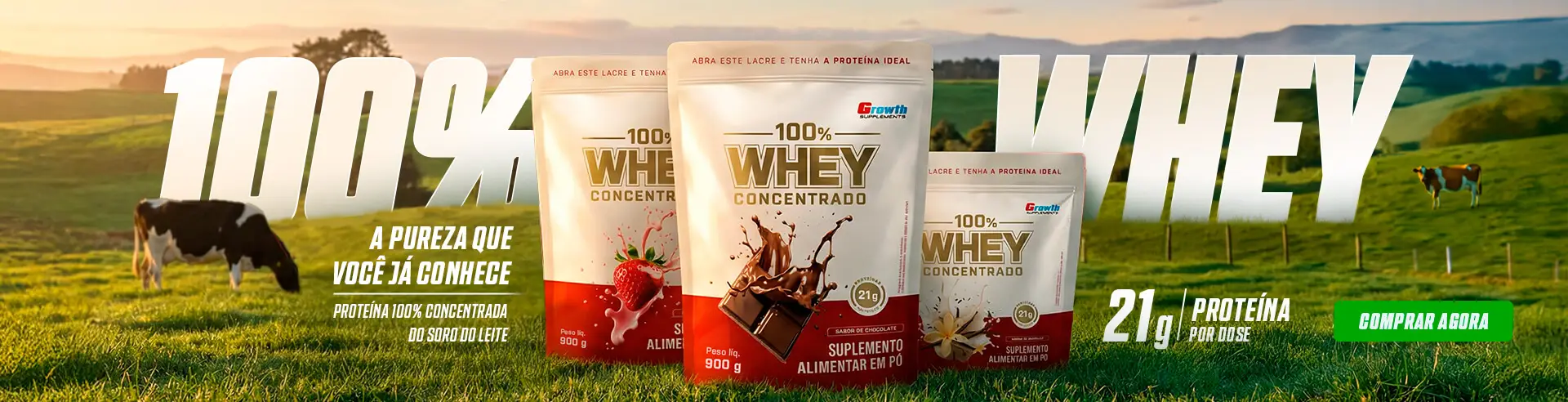 100% WHEY PROTEIN CONCENTRADO - Growth Supplements