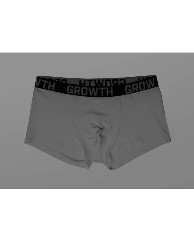 Cueca Cinza Claro Elastico Preto C/ Chumbo