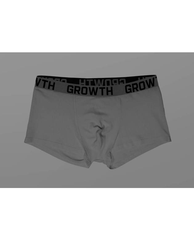 Cueca Cinza Claro Elastico Chumbo C/ Preto